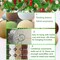 Tree Decorations, Velvet Ornaments for Christmas Tree, Velvet Christmas Ornaments Balls, 2.4 Inch Velvet Christmas Ornaments (A)